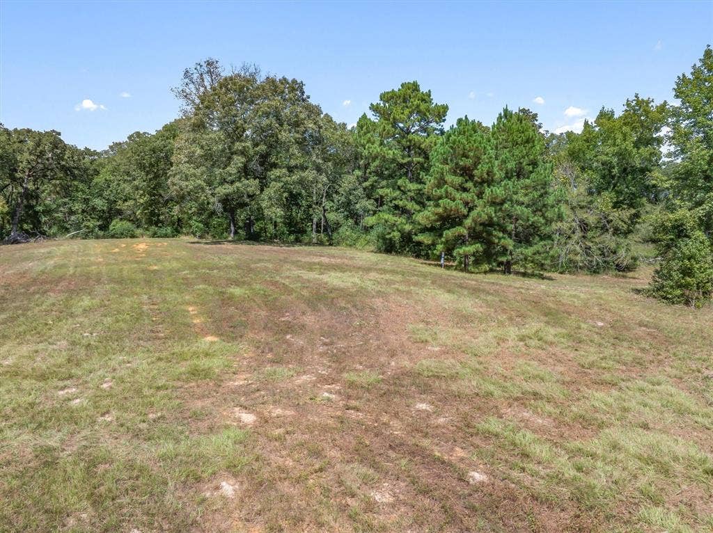 24670 Private Road 8102, Frankston, TX 75763 Expansive cleared land featuring mature trees and a clear blue sky