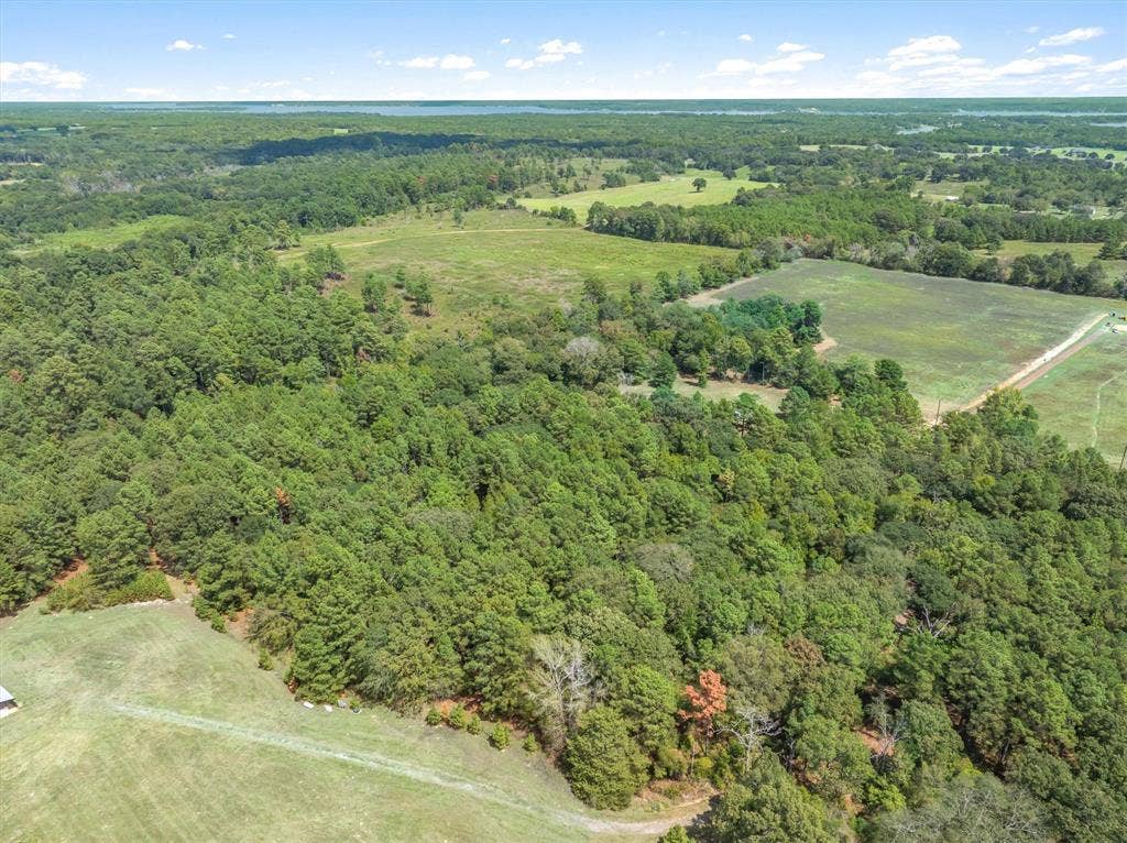 24670 Private Road 8102, Frankston, TX 75763 Expansive acreage with mature trees and open fields