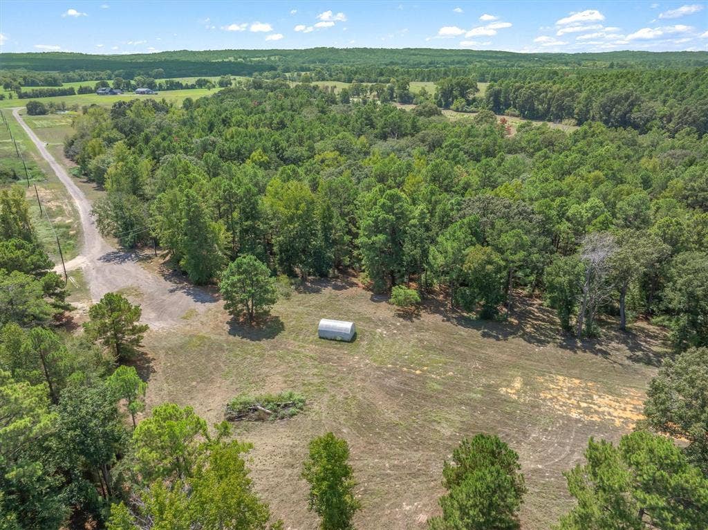 24670 Private Road 8102, Frankston, TX 75763 Expansive treed acreage with a cleared open field and a small storage structure