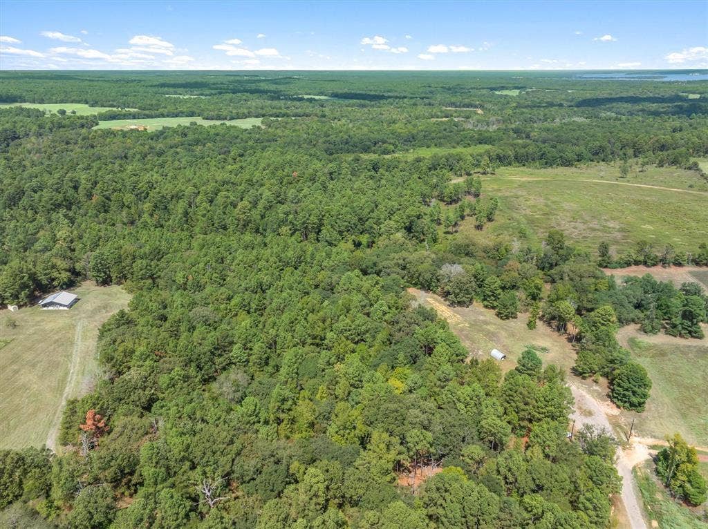 24670 Private Road 8102, Frankston, TX 75763 Expansive wooded acreage with a mix of mature trees and open clearings