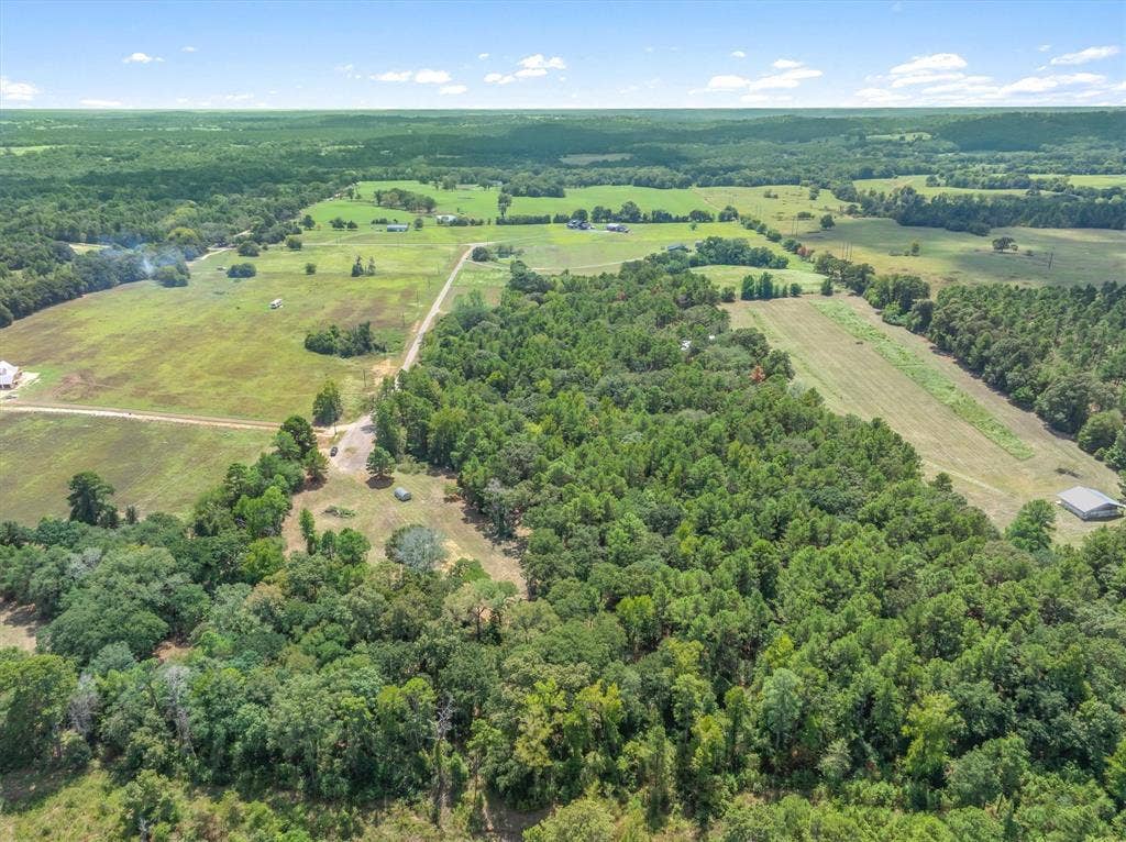 24670 Private Road 8102, Frankston, TX 75763 Expansive land offering a mix of wooded areas and open fields, including a cleared strip