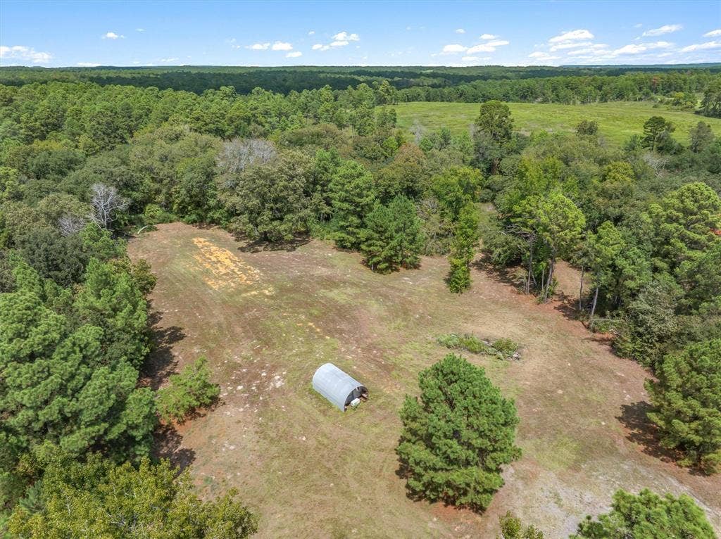 24670 Private Road 8102, Frankston, TX 75763 Expansive cleared land parcel with surrounding mature trees and open fields