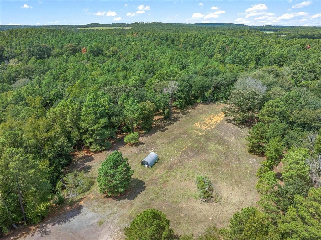 24670 Private Road 8102, Frankston, TX 75763 Expansive acreage surrounded by mature trees, featuring a cleared open area and a utility structure