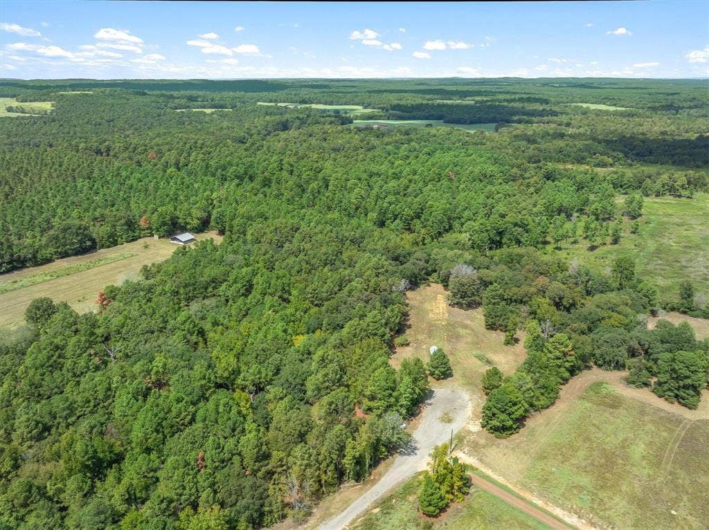 24670 Private Road 8102, Frankston, TX 75763 Expansive acreage featuring dense tree coverage, open clearings, and a partially graveled access drive