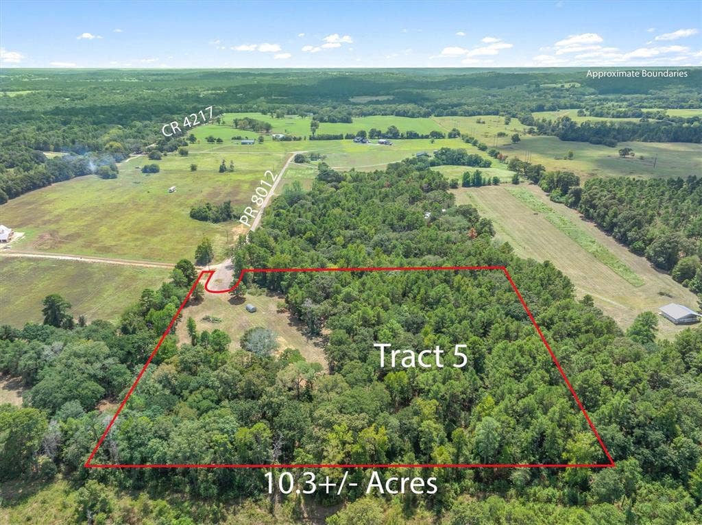 24670 Private Road 8102, Frankston, TX 75763 10.3+/- acre parcel featuring abundant mature trees, direct road frontage on PR 8012 and CR 4217, and surrounding open fields