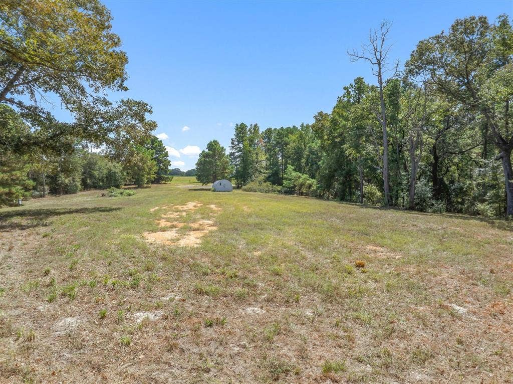 24670 Private Road 8102, Frankston, TX 75763 Expansive outdoor space featuring a detached storage structure, mature trees bordering the perimeter, and open grassy areas