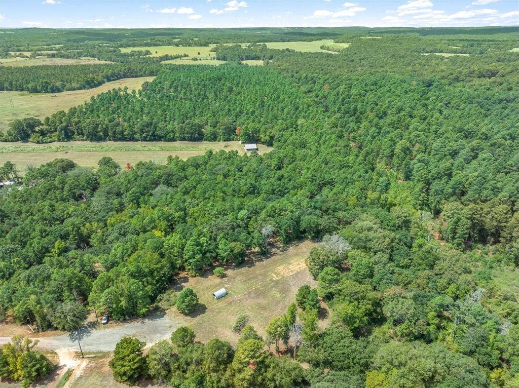 24670 Private Road 8102, Frankston, TX 75763 Expansive wooded acreage featuring diverse tree coverage and open clearings