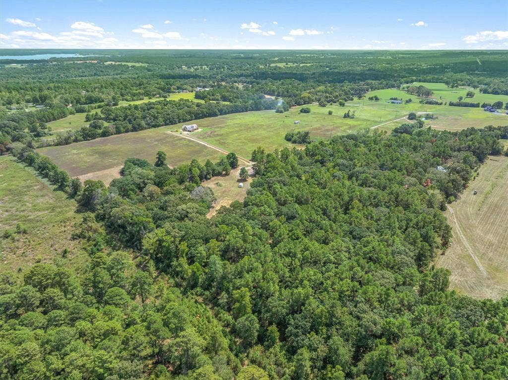 24670 Private Road 8102, Frankston, TX 75763 Expansive acreage with mixed woodlands and open fields