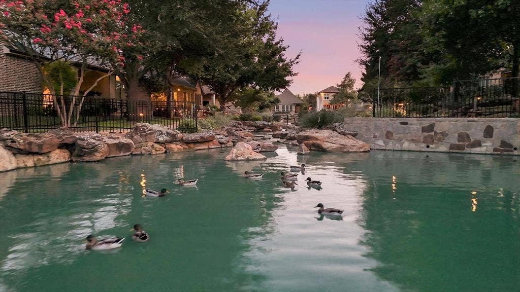 6108 Heron Bay Lane, McKinney, TX 75070 6108 Heron Bay Lane, McKinney, TX 75070
