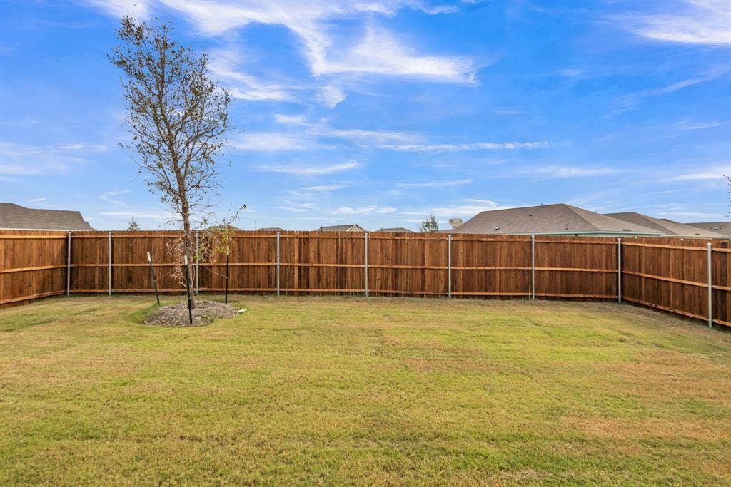 7904 Thornton Drive, McKinney, TX 75071 Expansive grass lawn with a new privacy fence