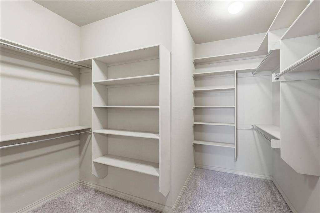 3110 Creek Haven Drive, Highland Village, TX 75077 Walk-in closet featuring floor-to-ceiling custom shelving, multiple tiered storage racks, and neutral wall-to-wall carpeting