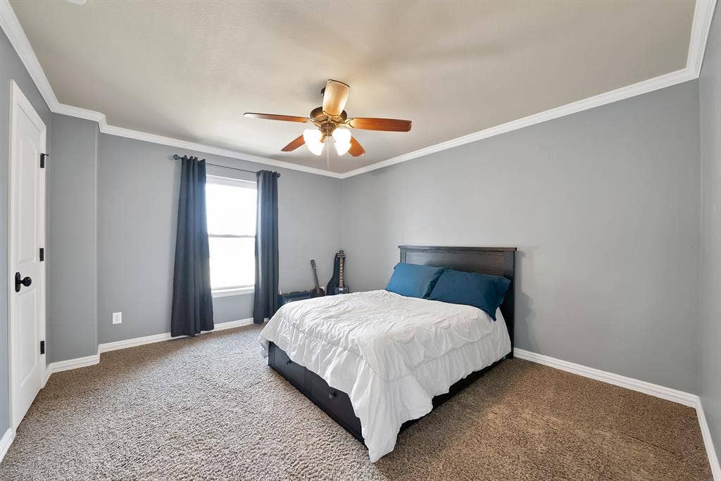 Recessed lighting, ceiling fan with light fixture, window with trim, crown molding, and carpeted flooring