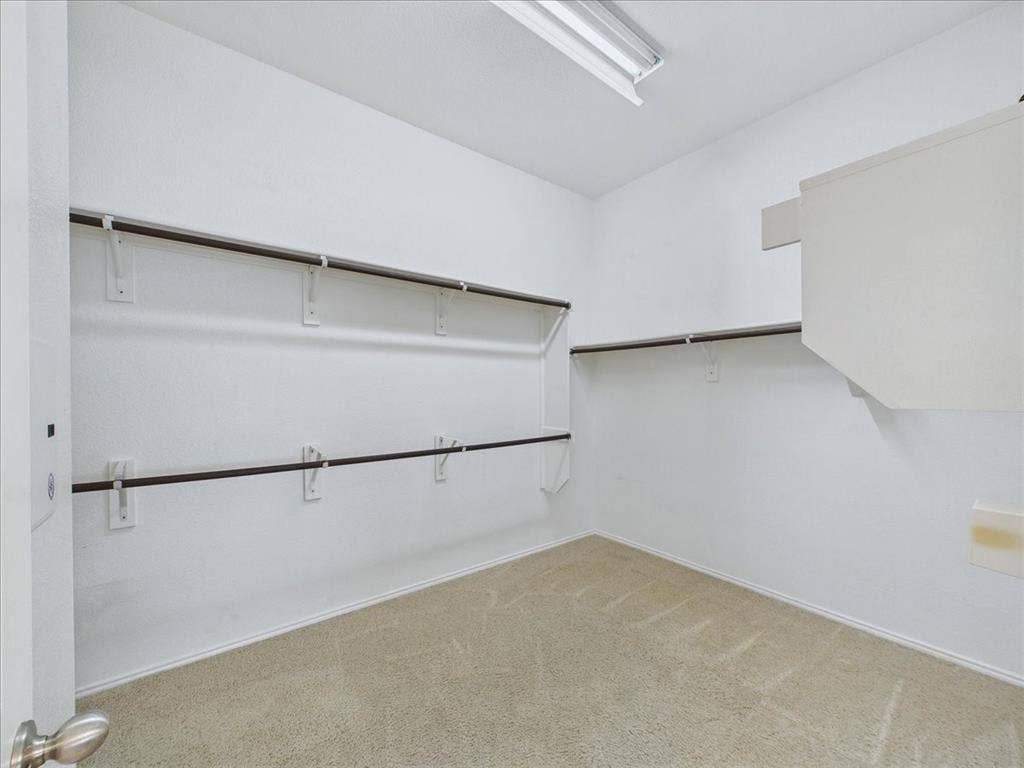 Spacious walk-in closet with carpeted flooring, multiple hanging rods, and an overhead fluorescent light fixture