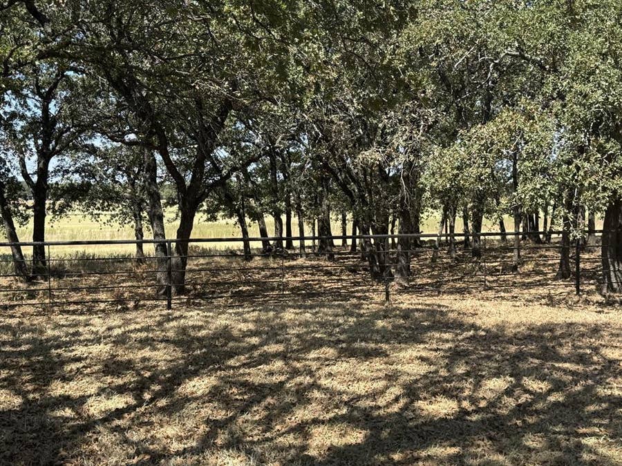 Property photo for 986 County Road 1785, Sunset, TX