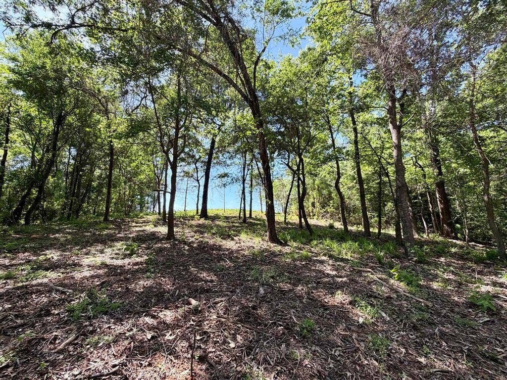 10196 County Road 3202, Chandler, TX 75758 10196 County Road 3202, Chandler, TX 75758