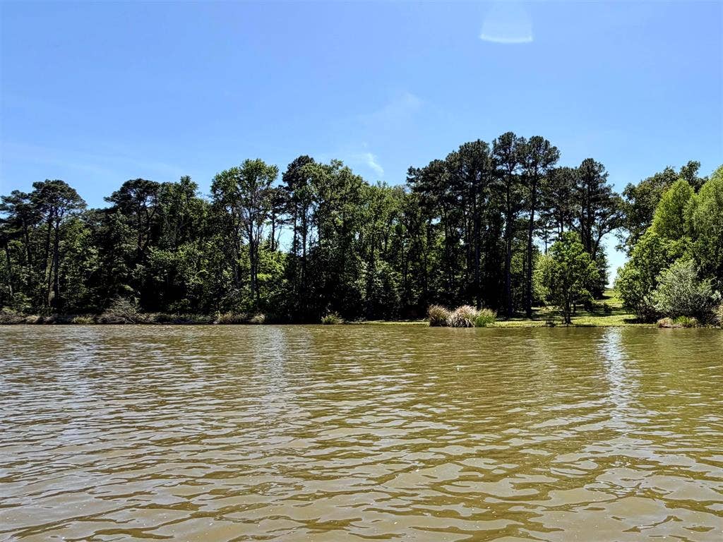 10196 County Road 3202, Chandler, TX 75758 10196 County Road 3202, Chandler, TX 75758