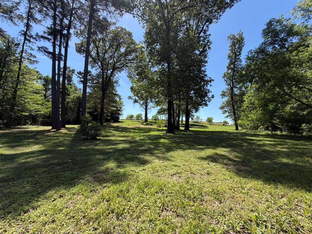 10196 County Road 3202, Chandler, TX 75758 10196 County Road 3202, Chandler, TX 75758