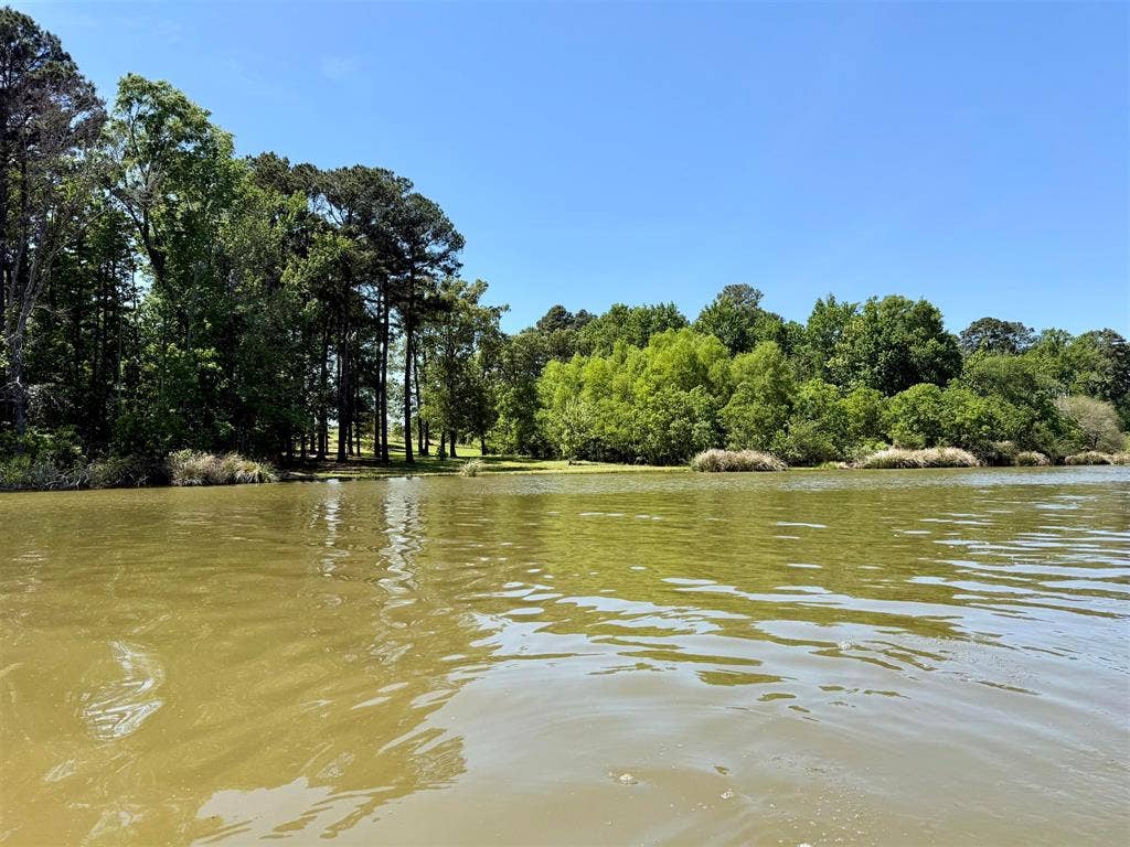 10196 County Road 3202, Chandler, TX 75758 10196 County Road 3202, Chandler, TX 75758