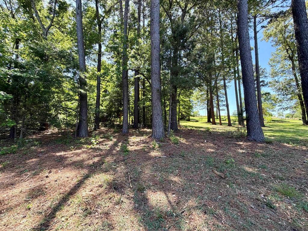10196 County Road 3202, Chandler, TX 75758 10196 County Road 3202, Chandler, TX 75758