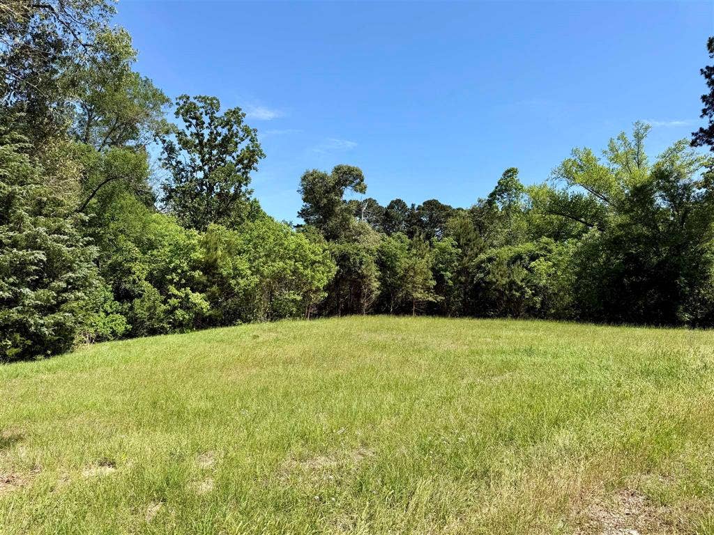 10196 County Road 3202, Chandler, TX 75758 10196 County Road 3202, Chandler, TX 75758
