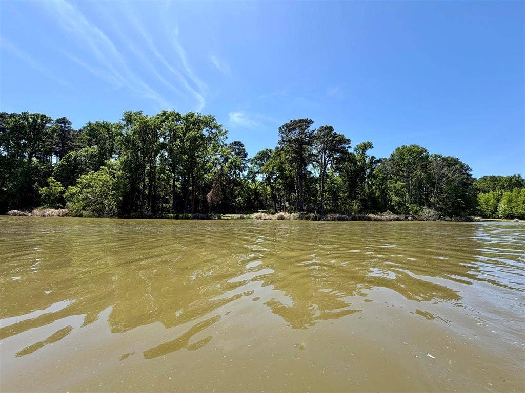 10196 County Road 3202, Chandler, TX 75758 10196 County Road 3202, Chandler, TX 75758