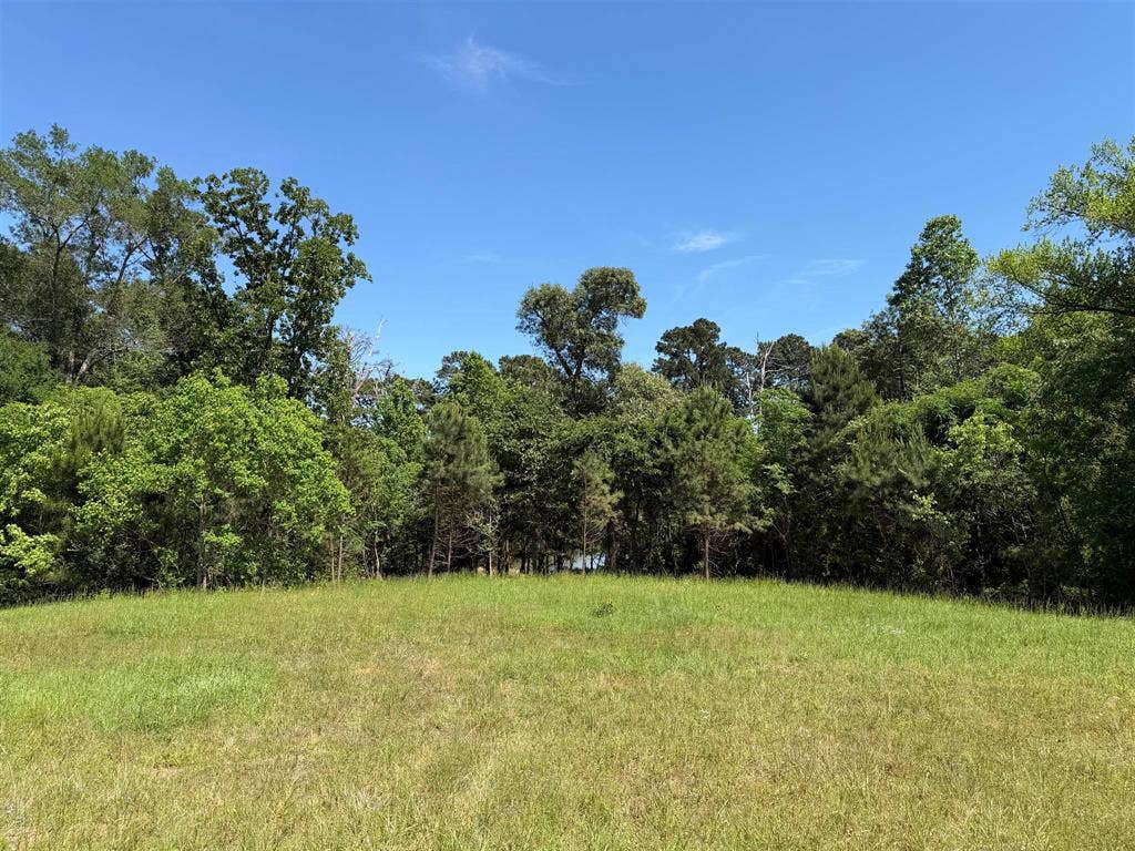 10196 County Road 3202, Chandler, TX 75758 10196 County Road 3202, Chandler, TX 75758