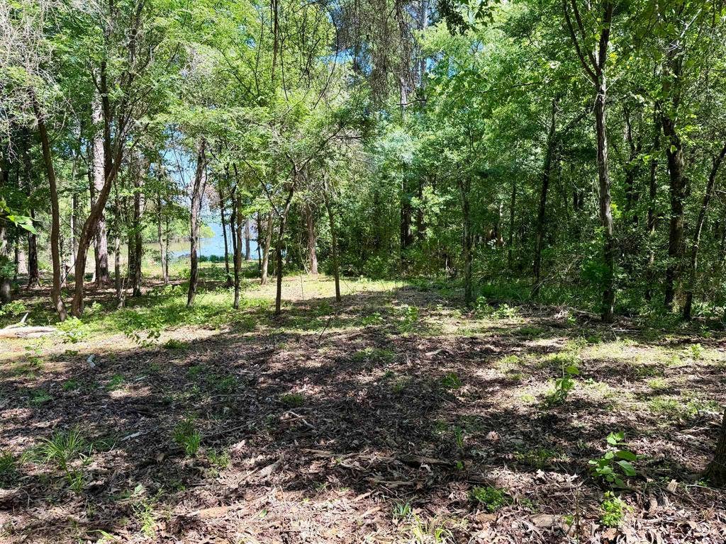 10196 County Road 3202, Chandler, TX 75758 10196 County Road 3202, Chandler, TX 75758