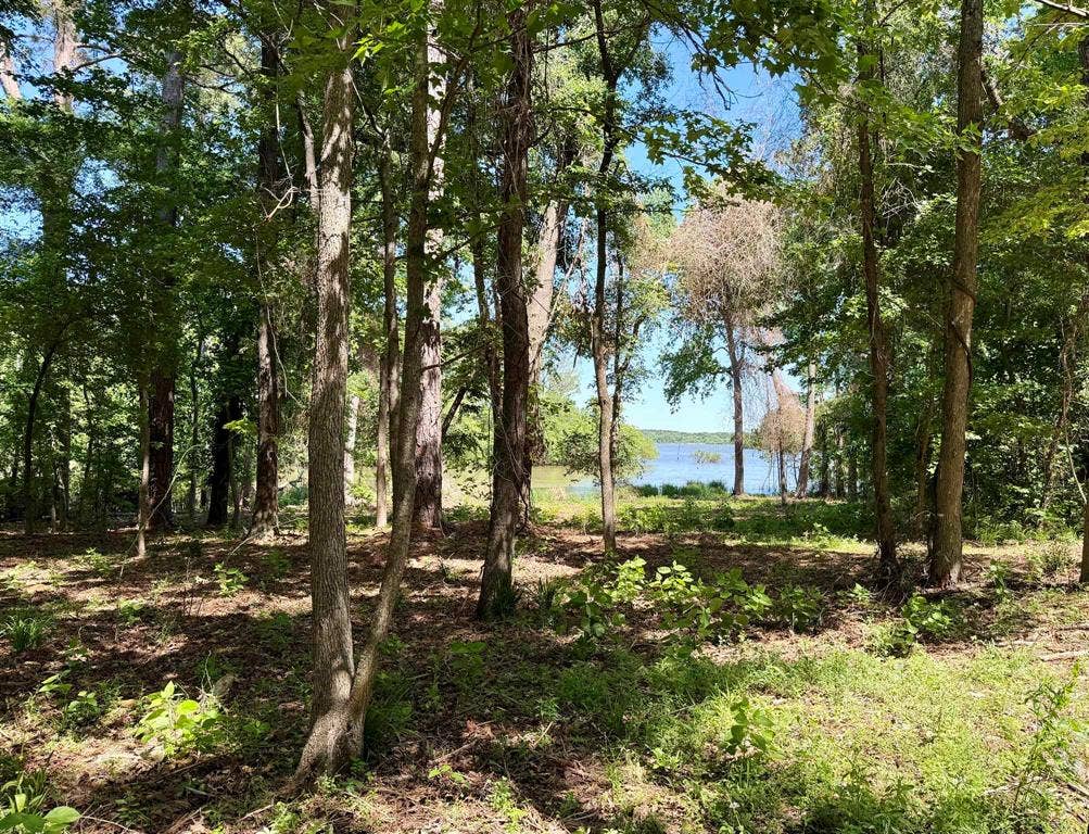 10196 County Road 3202, Chandler, TX 75758 10196 County Road 3202, Chandler, TX 75758
