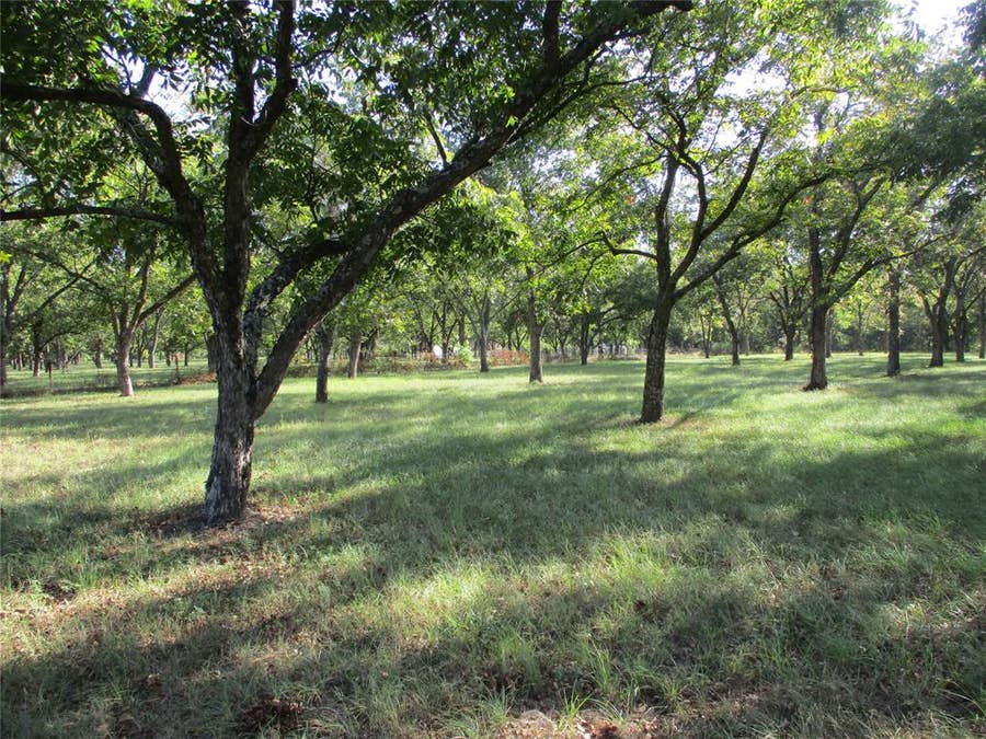 Property photo for 160 Rains County Road 2181, Emory, TX