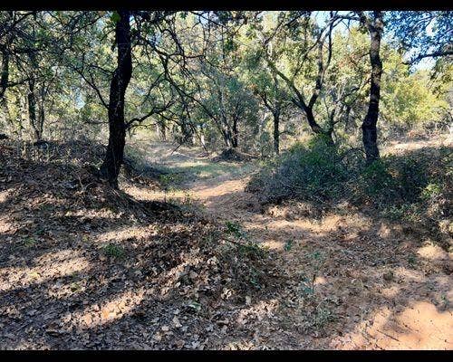 Property photo for TBD County Road 357, Gorman, TX