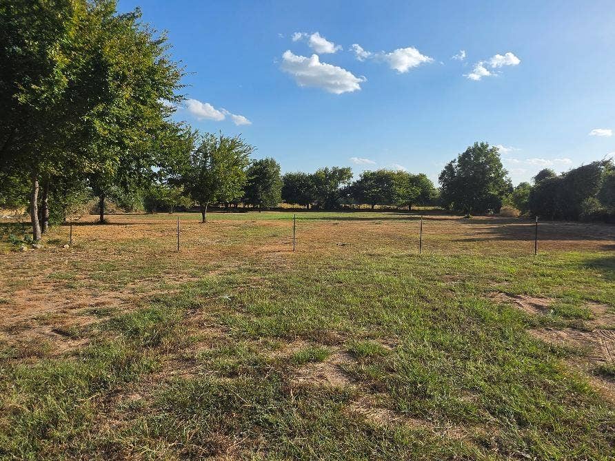 276 Wonder Drive, Springtown, TX 76082 View of Land