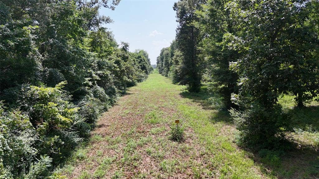 0 Gibson Road, Athens, TX 75751 Crude Oil Easement & Property Line