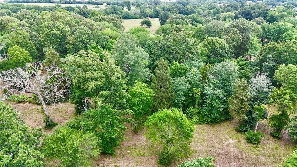 0 Gibson Road, Athens, TX 75751 Aerial view (partial)