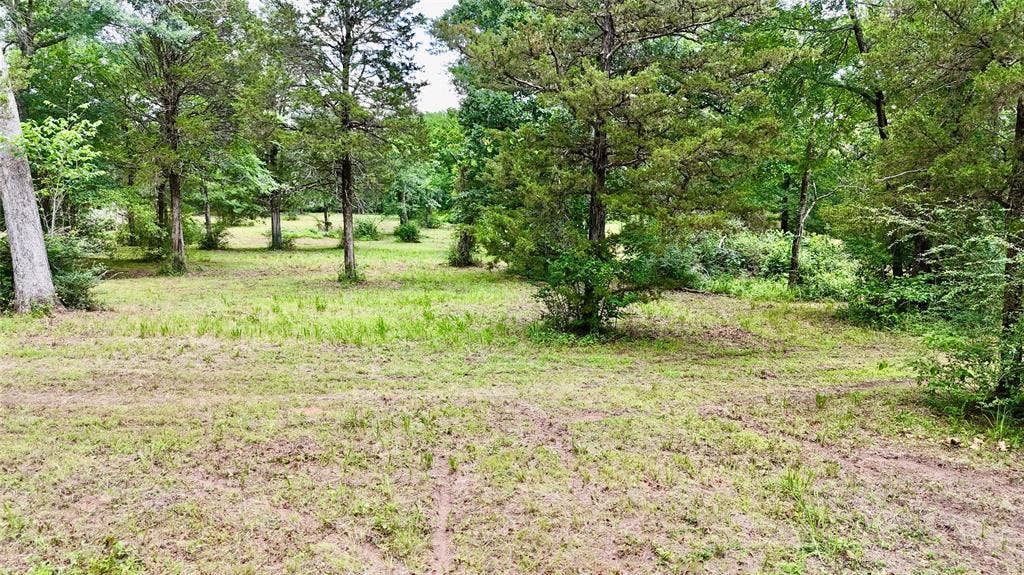 0 Gibson Road, Athens, TX 75751 Interior pic of property