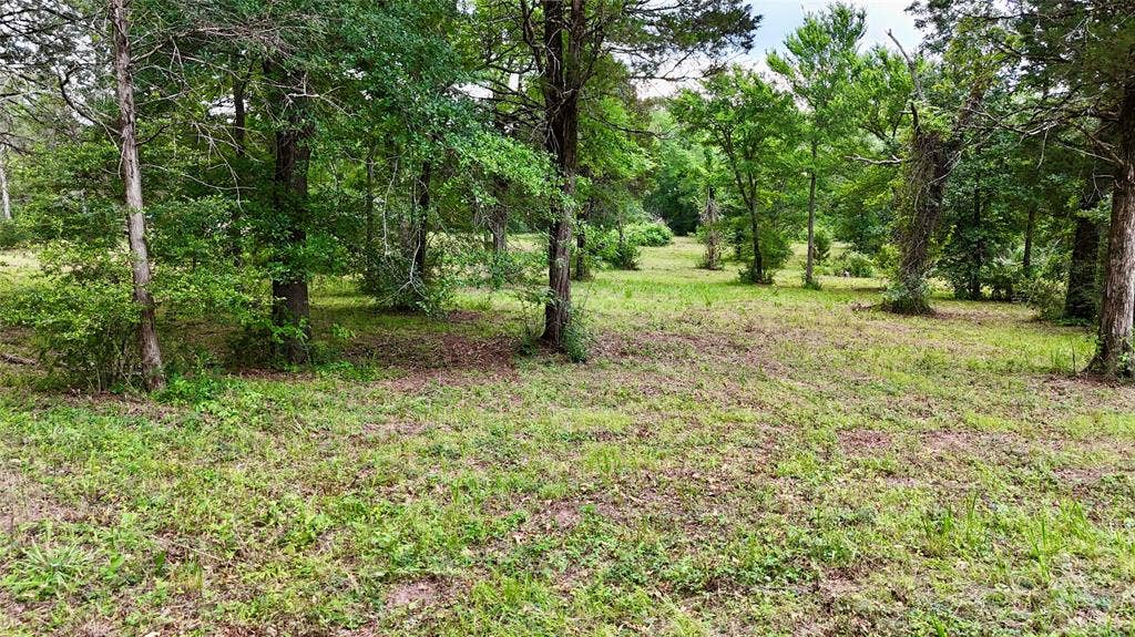 0 Gibson Road, Athens, TX 75751 Interior pic of property