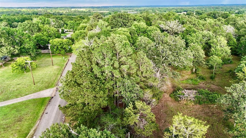 0 Gibson Road, Athens, TX 75751 Aerial view along Gibson Rd.