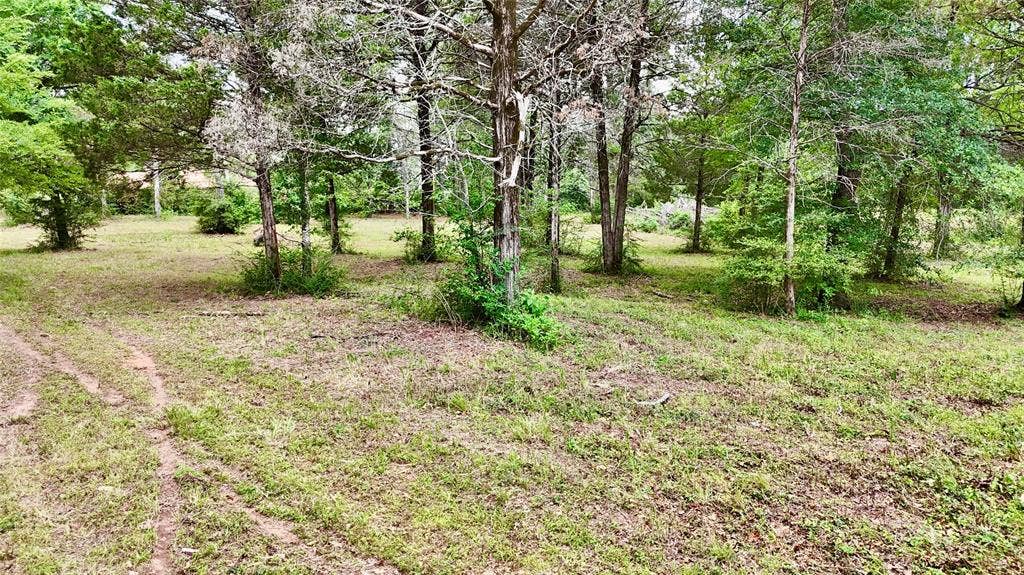 0 Gibson Road, Athens, TX 75751 Interior pic of property