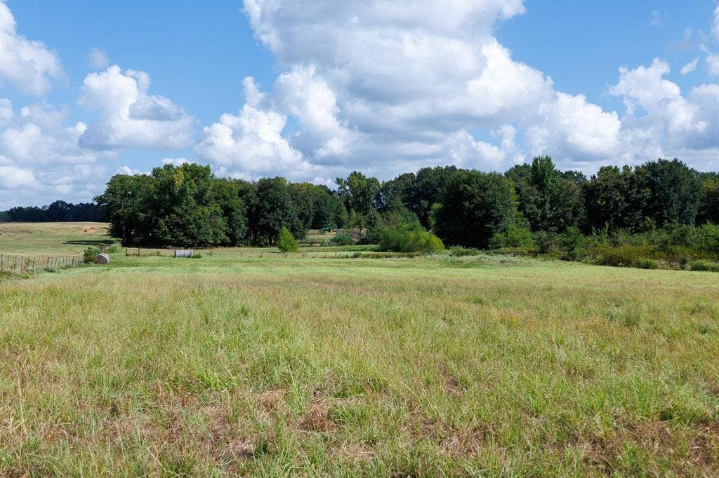000 Fm-317, Brownsboro, TX 75756 000 Fm-317, Brownsboro, TX 75756