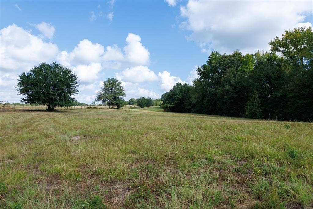 000 Fm-317, Brownsboro, TX 75756 000 Fm-317, Brownsboro, TX 75756