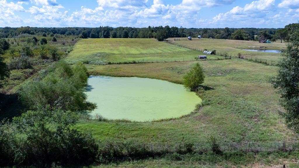 000 Fm-317, Brownsboro, TX 75756 000 Fm-317, Brownsboro, TX 75756