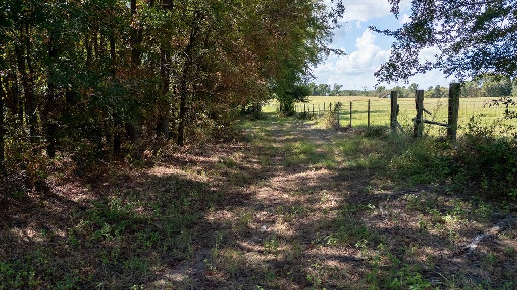 000 Fm-317, Brownsboro, TX 75756 000 Fm-317, Brownsboro, TX 75756
