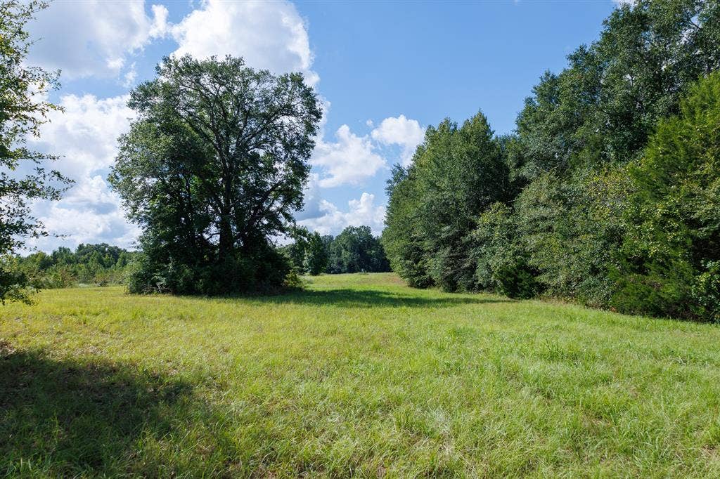 000 Fm-317, Brownsboro, TX 75756 000 Fm-317, Brownsboro, TX 75756