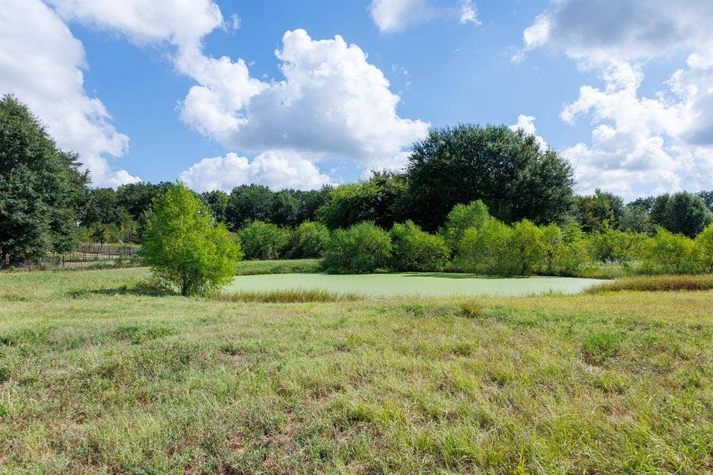 000 Fm-317, Brownsboro, TX 75756 000 Fm-317, Brownsboro, TX 75756