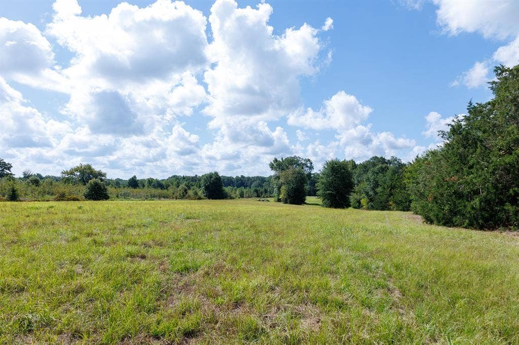 000 Fm-317, Brownsboro, TX 75756 000 Fm-317, Brownsboro, TX 75756
