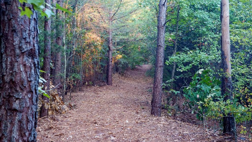 TBD FM 2015, Tyler, TX 75708 TBD FM 2015, Tyler, TX 75708