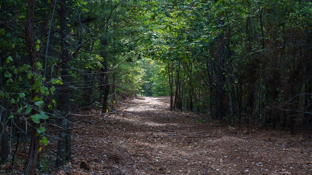 TBD FM 2015, Tyler, TX 75708 Trails