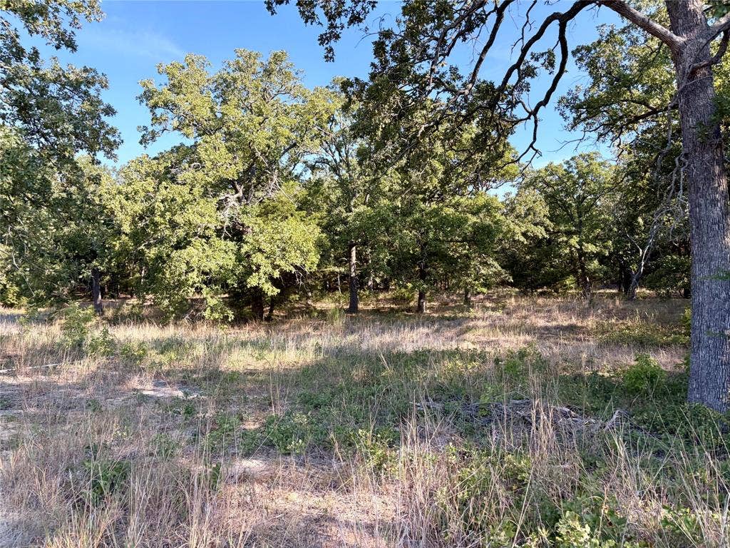 10740 N Us-175, Athens, TX 75751