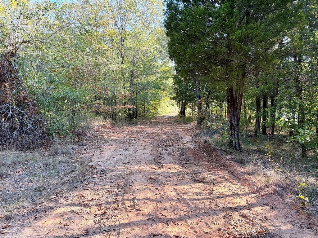 10740 N Us-175, Athens, TX 75751