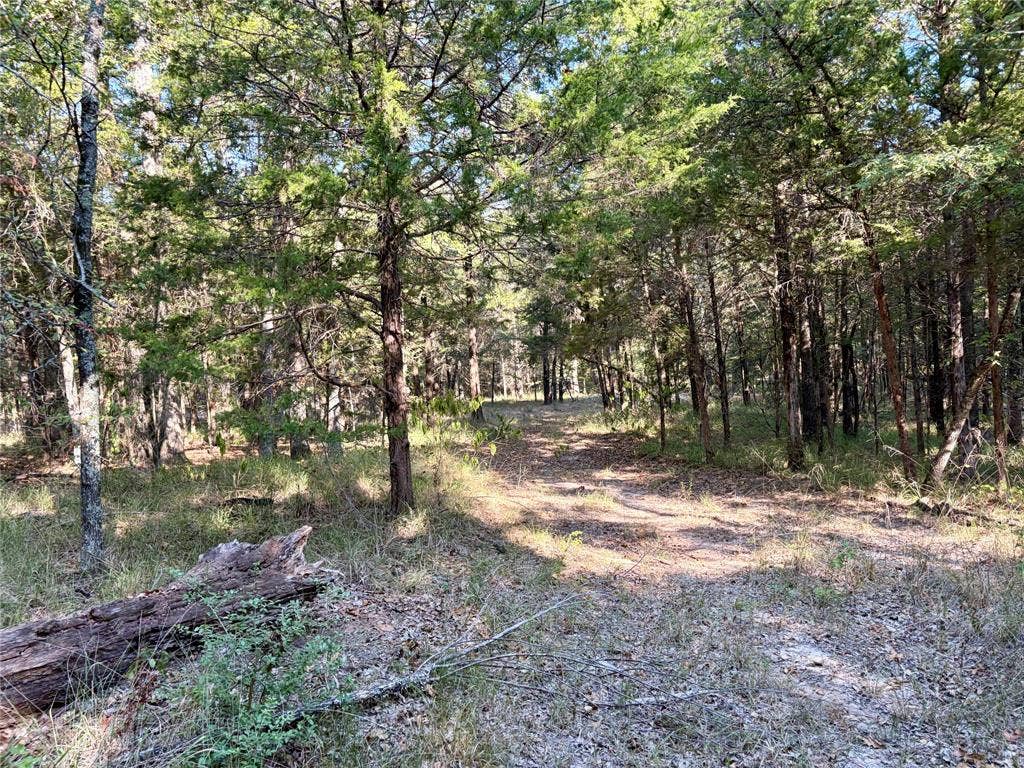 10740 N Us-175, Athens, TX 75751