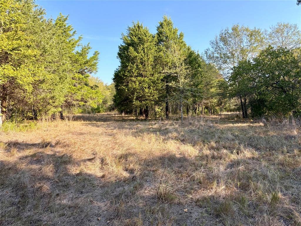 10740 N Us-175, Athens, TX 75751